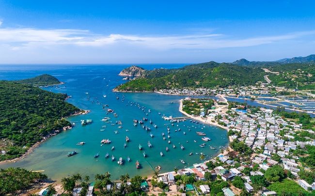 vang-nho-homi-du-lịch-Ninh-Thuận-03