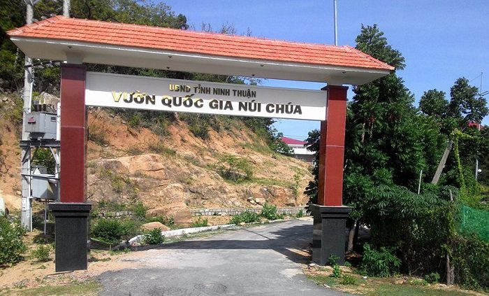 vang-nho-homi-du-lịch-ninh-thuận-06